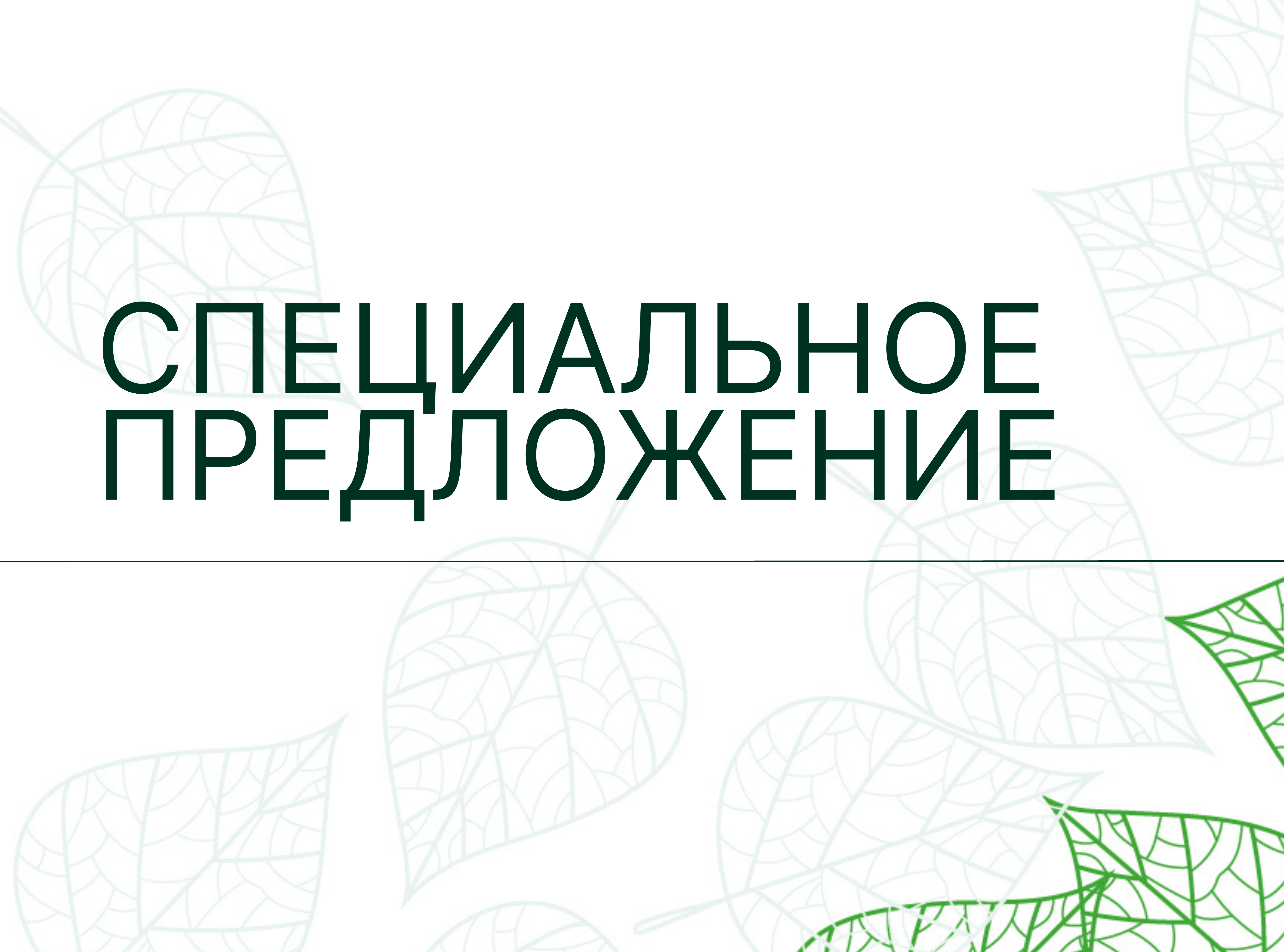 Специальное предложение! 